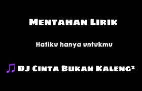 Bukan Bukan Bukan Kaleng Kaleng Lirik Terjemahan Indonesia Chord